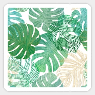 Exotic Monstera leaves watercolor textural print. Tropical foliage summer jungle print Sticker